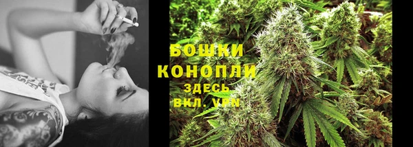 прущие грибы Нязепетровск