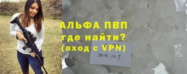 прущие грибы Нязепетровск