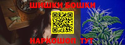 гашик Заводоуковск