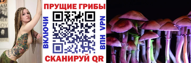 Псилоцибиновые грибы Magic Shrooms  кракен как войти  Коммунар  где найти  