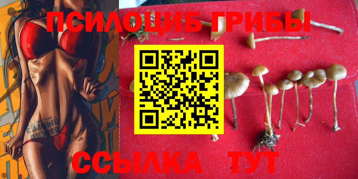 Галлюциногенные грибы MAGIC MUSHROOMS Коммунар