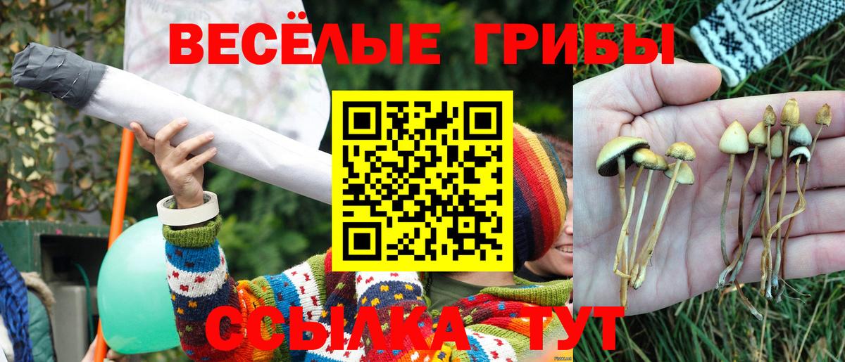 Галлюциногенные грибы прущие грибы  Галлюциногенные грибы мухоморы  Коммунар 