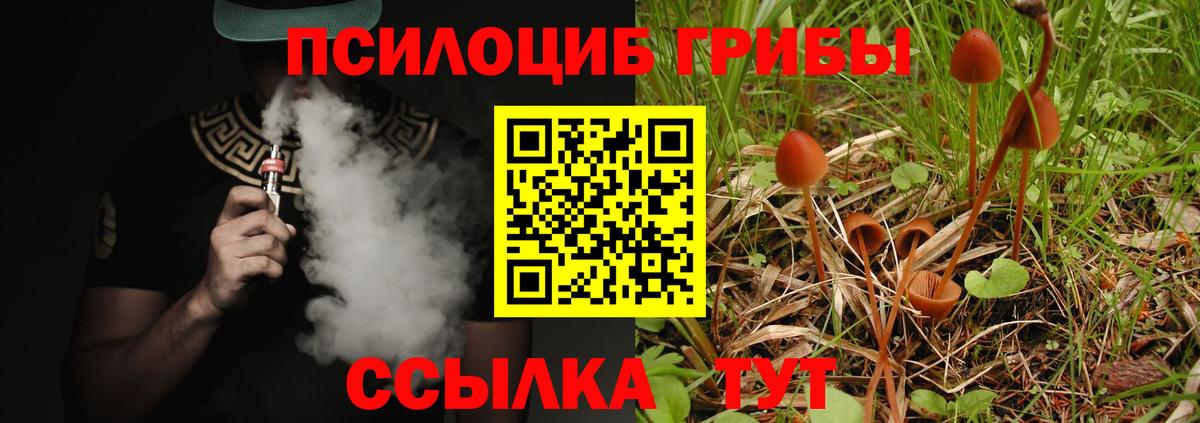 Галлюциногенные грибы MAGIC MUSHROOMS  дарнет шоп  Вход с VPN  Коммунар  Псилоцибиновые грибы Psilocybe 